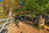 20818 Fig Tree Lane - Photo 3