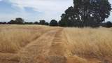 Lot 63 River Downs Way - Photo 5