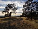 Lot 79 River Downs Way - Photo 5