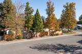 1005 Belcrest Drive - Photo 14
