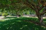 3120 Alta Mesa Drive - Photo 41