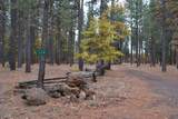 175 Red Rock Road - Photo 1