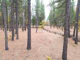 175 Red Rock Road - Photo 11