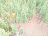 175 Red Rock Road - Photo 19