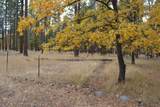175 Red Rock Road - Photo 2