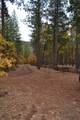 175 Red Rock Road - Photo 23