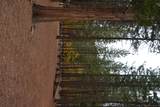 175 Red Rock Road - Photo 24
