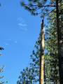 175 Red Rock Road - Photo 26