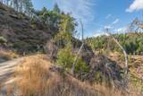 NSA 31 Ac Buckhorn Summit Ca-299 Highway - Photo 11