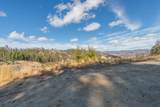 NSA 31 Ac Buckhorn Summit Ca-299 Highway - Photo 13