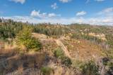 NSA 31 Ac Buckhorn Summit Ca-299 Highway - Photo 16