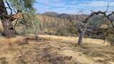 Lot 234 Tolowa Road - Photo 20