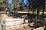 715 Pine Drive - Photo 61