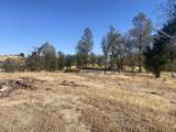 16107 Cagle Lane - Photo 1