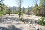 101 River Acres - Photo 18