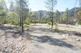 101 River Acres - Photo 2
