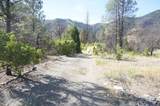 101 River Acres - Photo 3