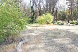 101 River Acres - Photo 5