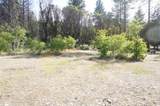 101 River Acres - Photo 9