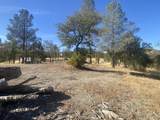 16166 Cagle Lane - Photo 1