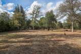 20953 Windsong Lane - Photo 15