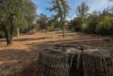 20953 Windsong Lane - Photo 16