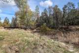 20953 Windsong Lane - Photo 21