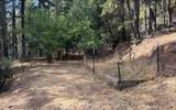 1315 Tucker Hill Road - Photo 18