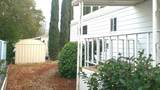 445 Balsawood Drive - Photo 30