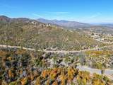  Mule Mountain Parkway - Photo 113