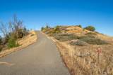  Mule Mountain Parkway - Photo 20