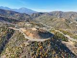  Mule Mountain Parkway - Photo 21