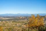  Mule Mountain Parkway - Photo 22
