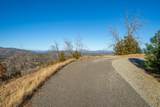  Mule Mountain Parkway - Photo 24