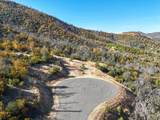  Mule Mountain Parkway - Photo 66