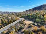  Mule Mountain Parkway - Photo 71