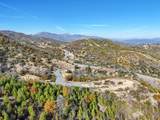 Mule Mountain Parkway - Photo 75