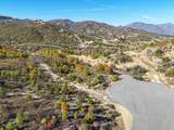  Mule Mountain Parkway - Photo 93