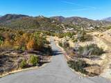  Mule Mountain Parkway - Photo 96
