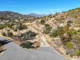  Mule Mountain Parkway - Photo 97