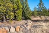 Lot 7 Velvet Rye Court - Photo 11