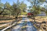 13623 Jaybird Way - Photo 2