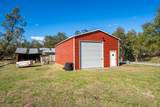 13623 Jaybird Way - Photo 47