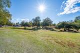 13623 Jaybird Way - Photo 50
