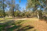 13623 Jaybird Way - Photo 53