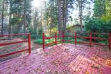 30601 Figaro Drive - Photo 3