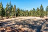 Lot 35 Princess Pine Place - Photo 3