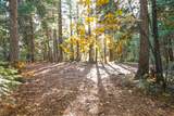 8298 Starlite Pines Road - Photo 2