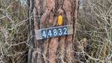 44832 Ca-299 - Photo 5