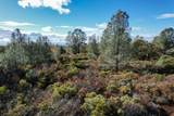  14.94 Acres Colley Lane - Photo 4